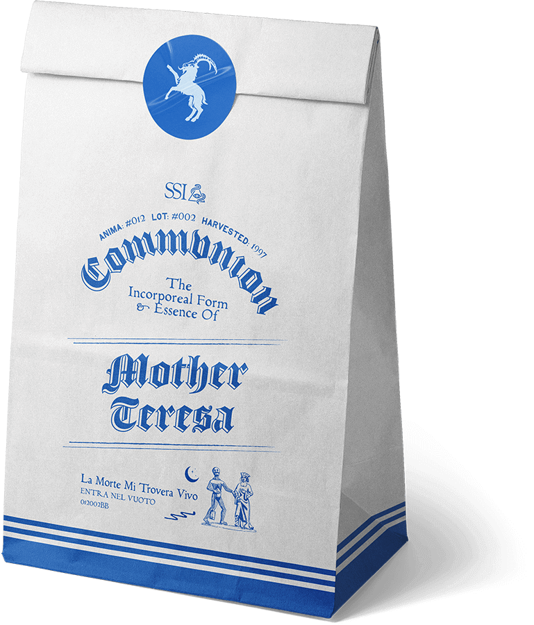 The Soul of Mother Teresa